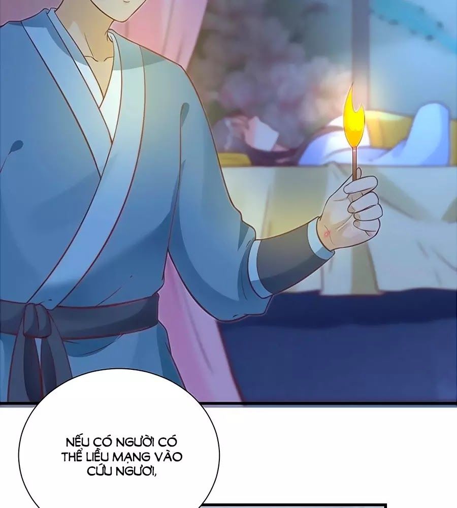 Thịnh Thế Lê Hoa Điện Chapter 61 - 67