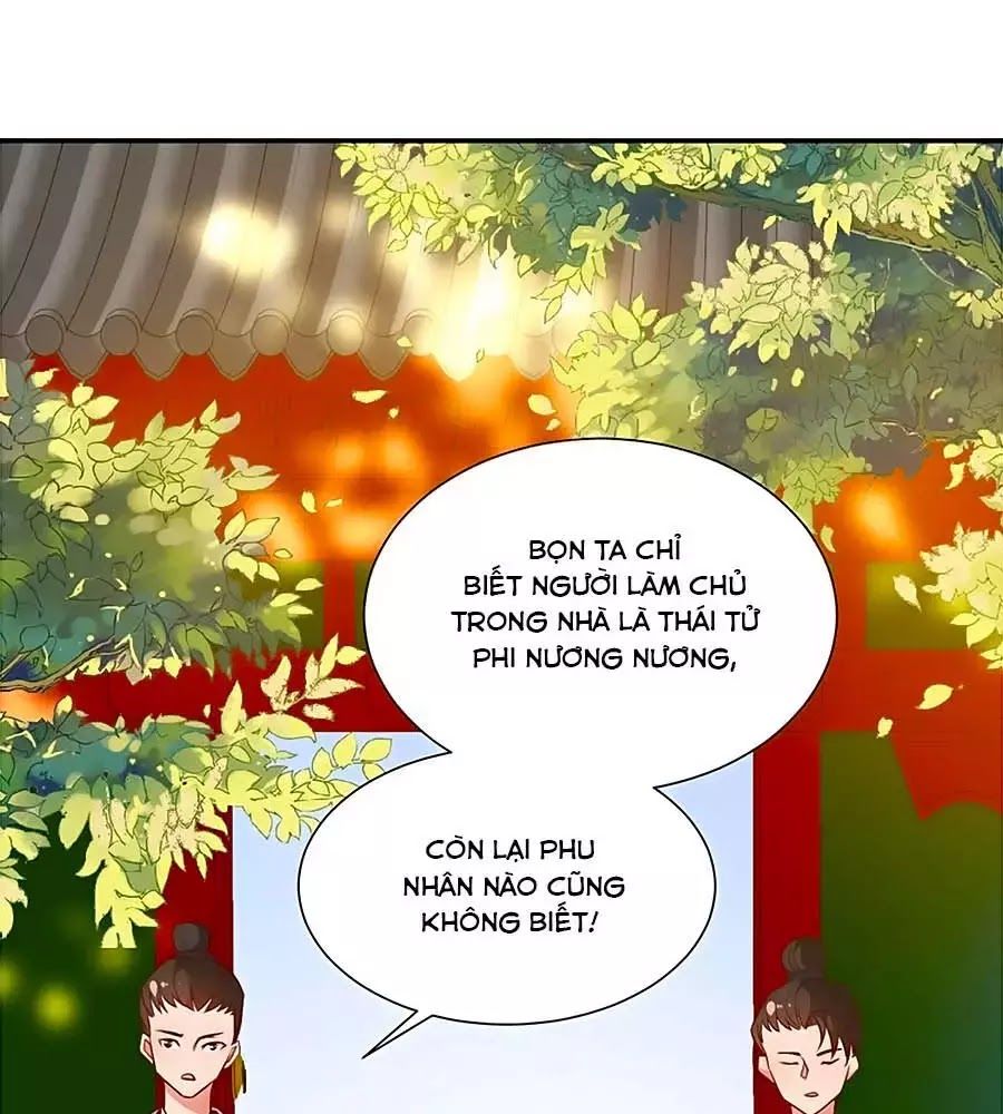 Thịnh Thế Lê Hoa Điện Chapter 69 - 74