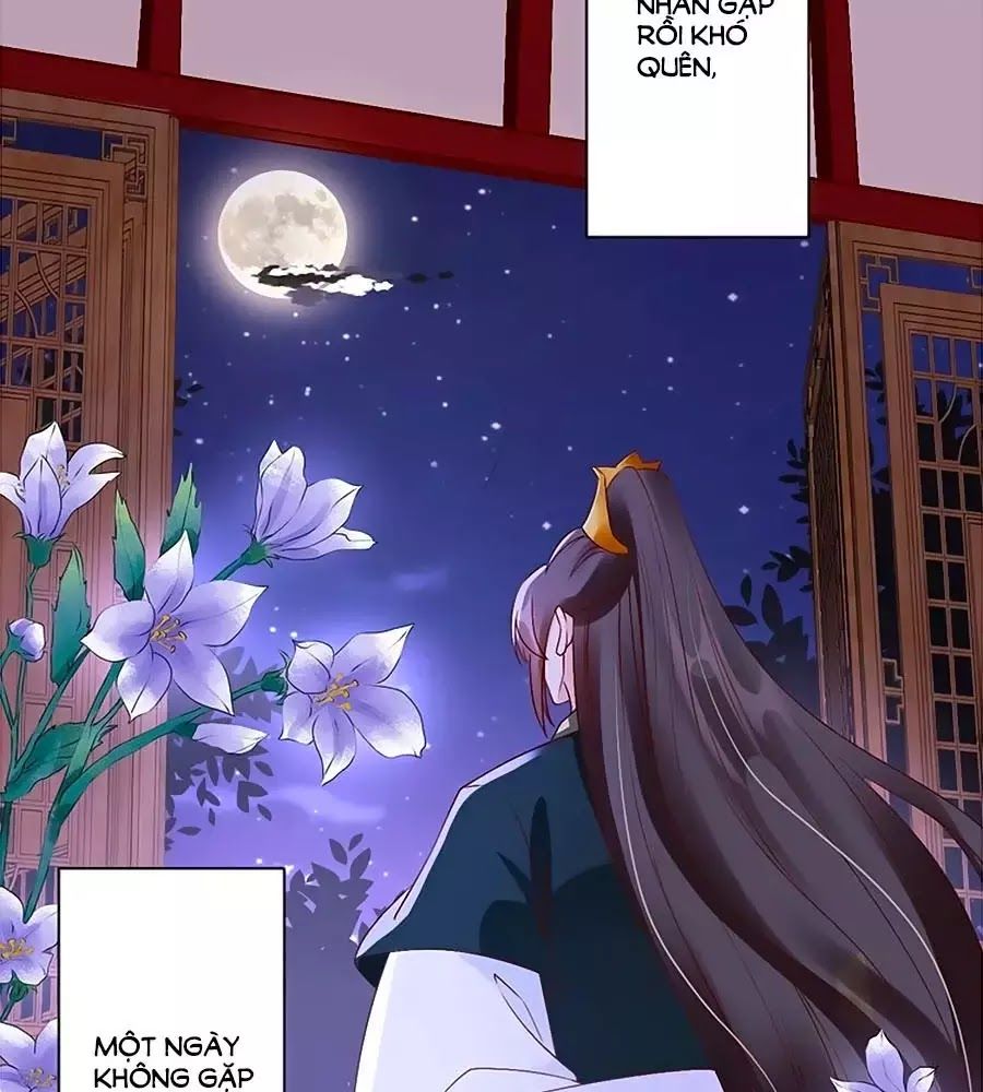 Thịnh Thế Lê Hoa Điện Chapter 77 - 48