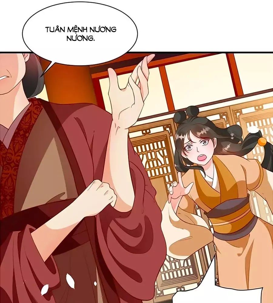 Thịnh Thế Lê Hoa Điện Chapter 78 - 47