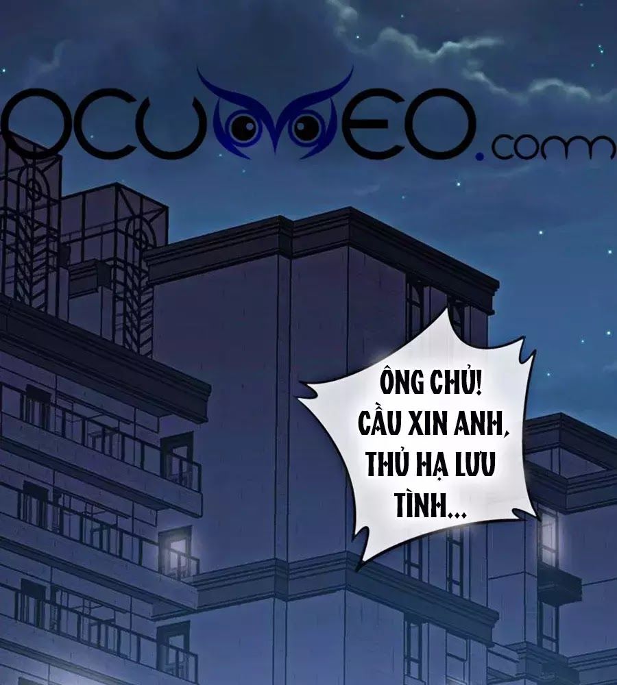 Hai Mặt Cuốn Hút Của Anh Chapter 24 - 55