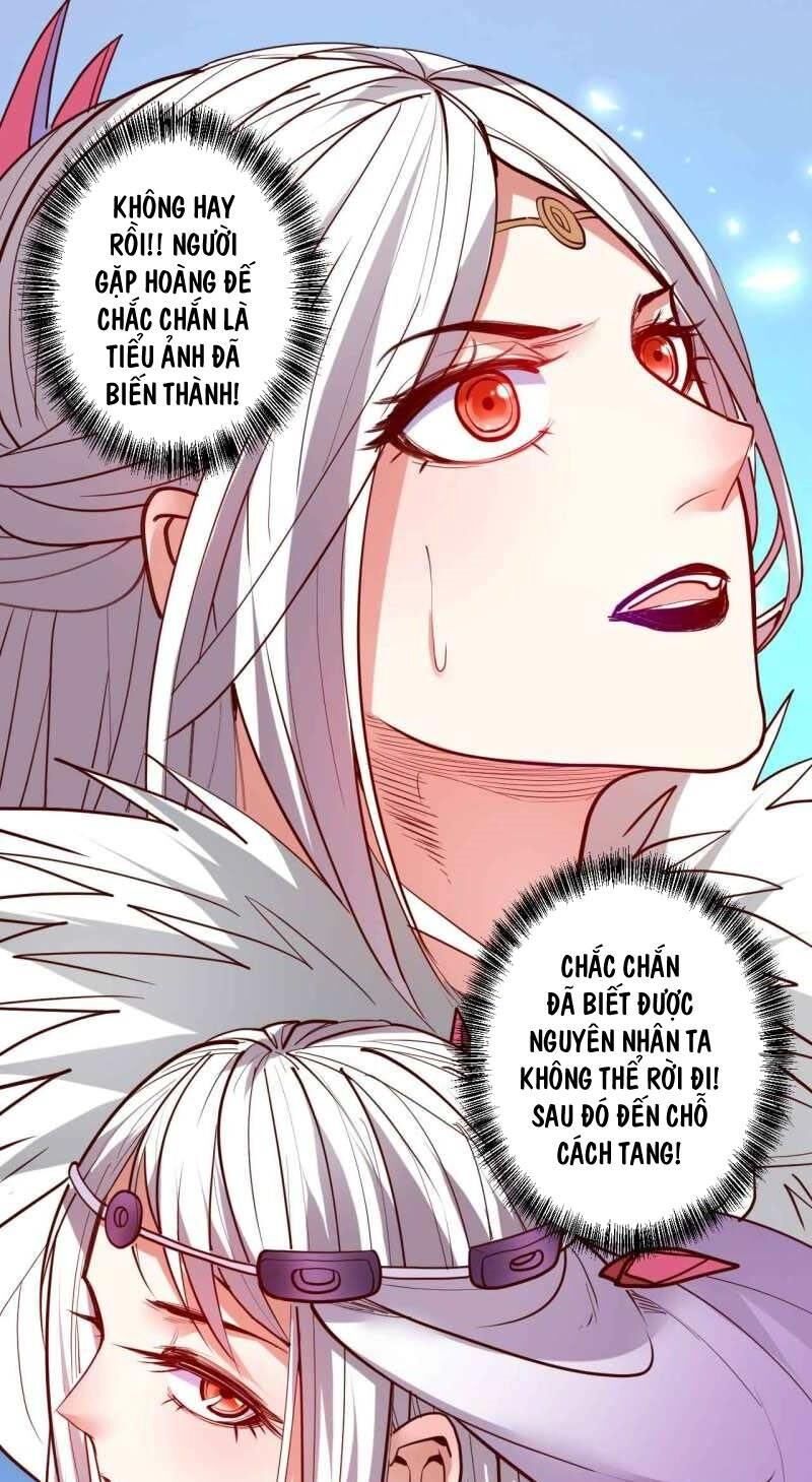 Tối Cường Đại Biểu Hoàng Kim Thận Chapter 87 - 23