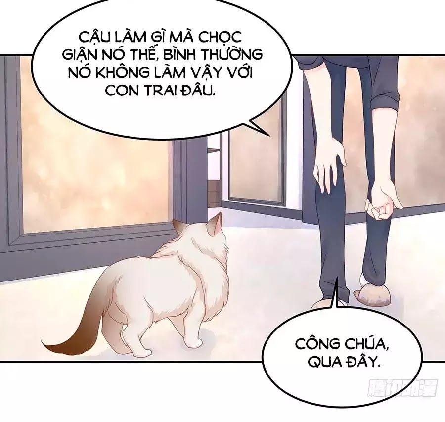 Hotboy Quốc Dân Là Nữ Chapter 51 - 47