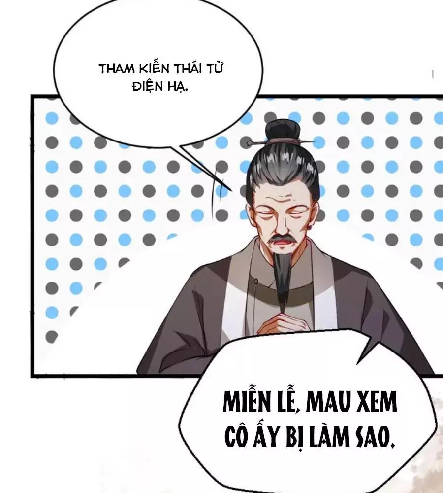 Thái Tử Điện Hạ, Nô Tài Có Hỉ Rồi Chapter 27 - 49