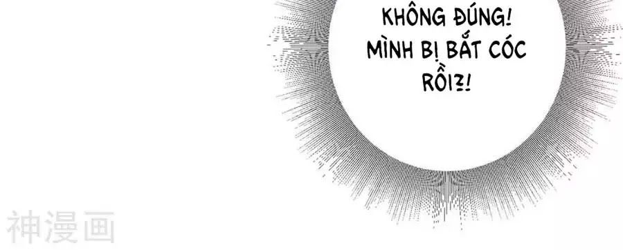 Thiên Tài Khốc Bảo: Tổng Tài Sủng Thê Quá Cường Hãn Chapter 41 - 36