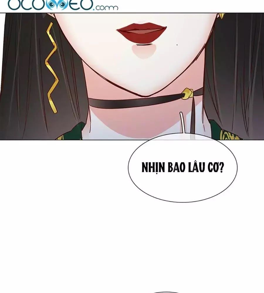 Ngôi Sao Vụn Vỡ Chapter 28 - 41