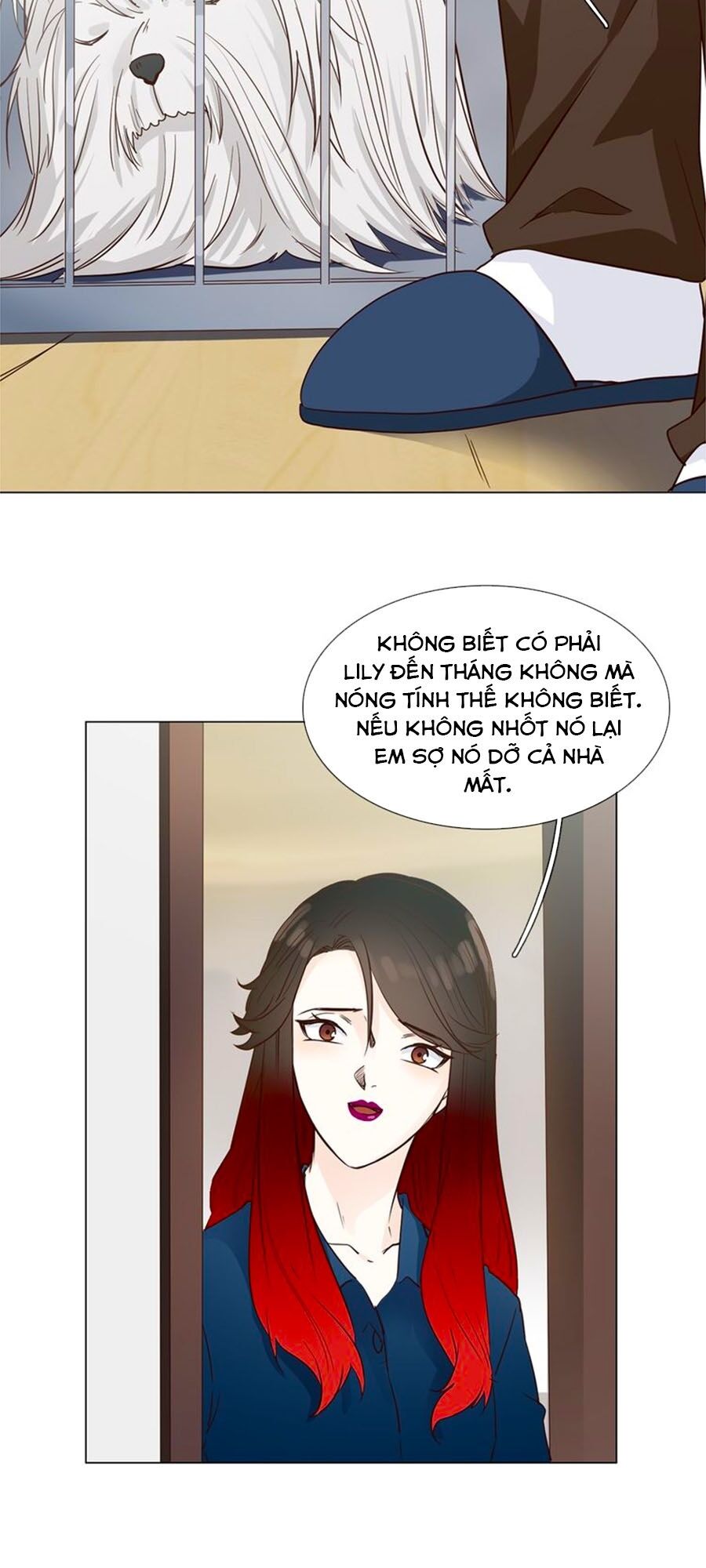 Ngôi Sao Vụn Vỡ Chapter 51 - 15