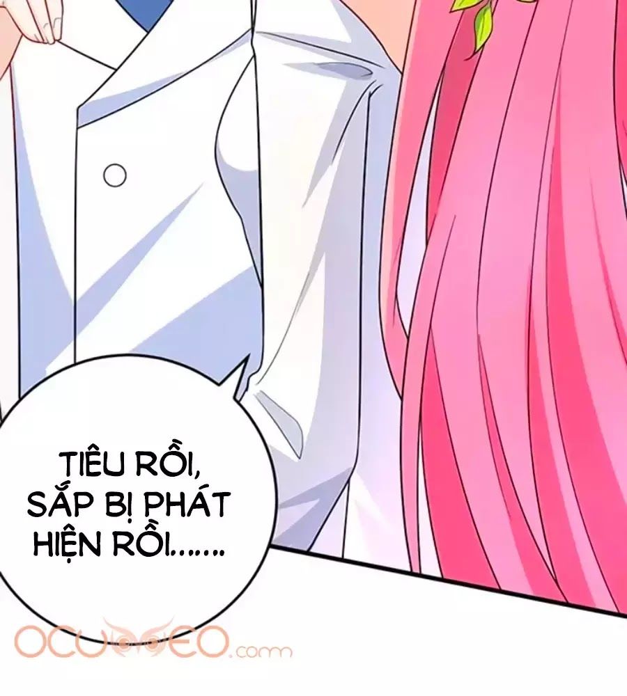 Một Thai Hai Bảo : Đưa Mami Về Nhà ! Chapter 38 - 70