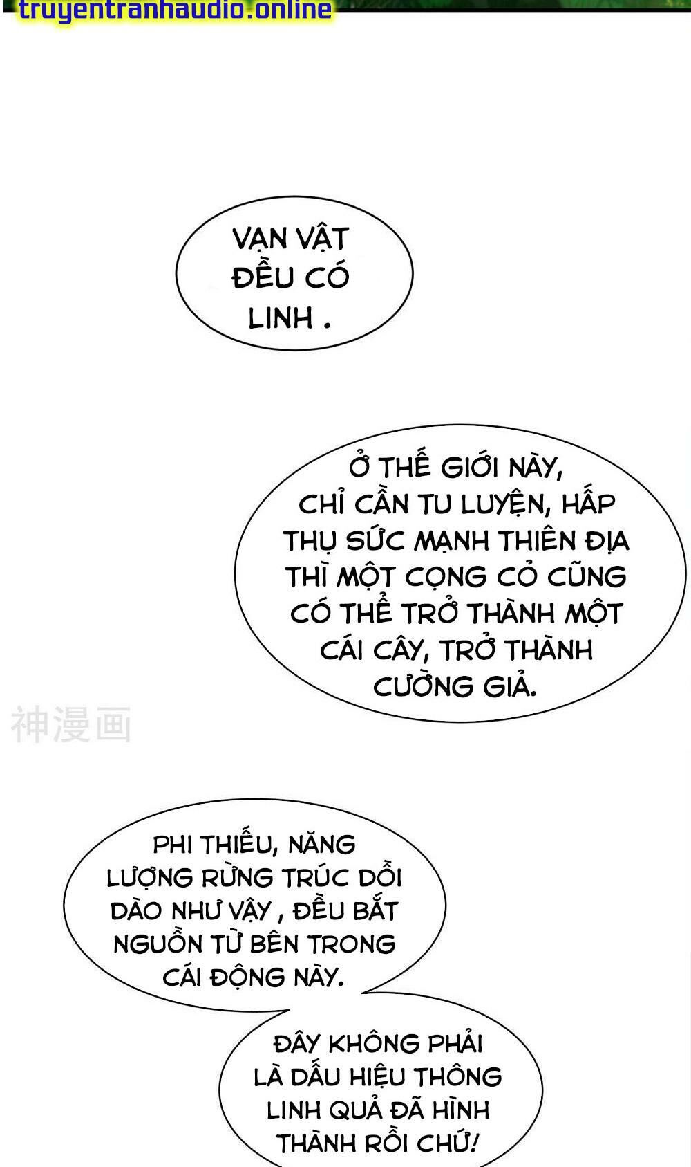 Cái Thế Đế Tôn Chapter 41 - 7