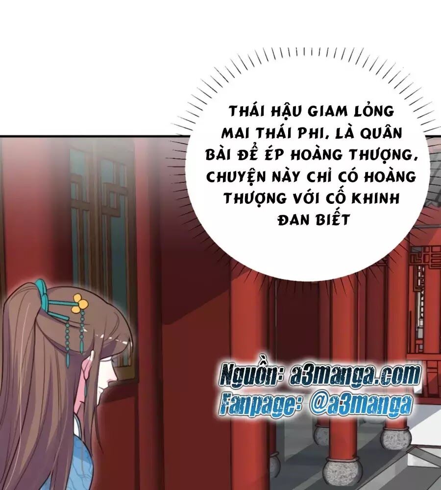 Cung Đấu Live Chapter 35 - 1