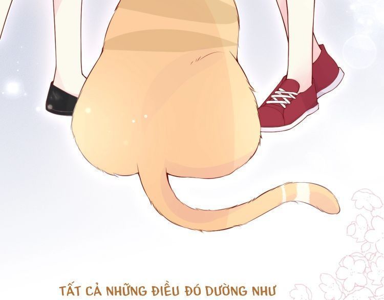 Bên Anh Mới Là Cả Thế Giới Chapter 5 - 18