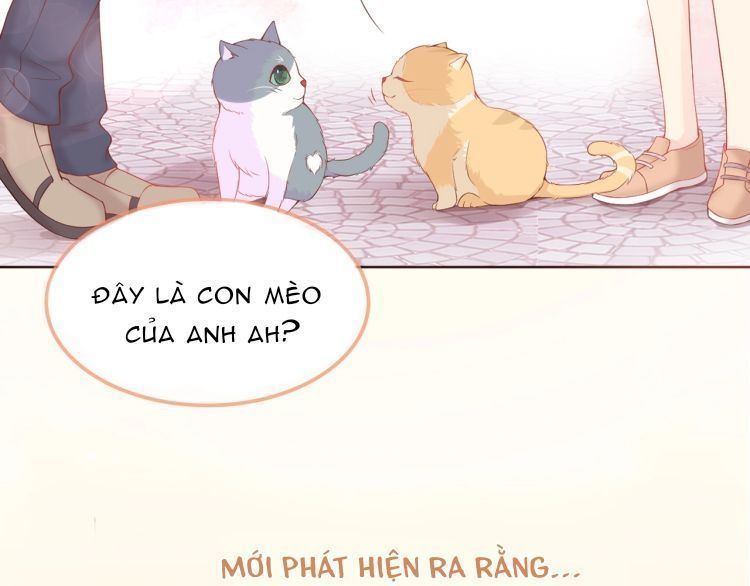 Bên Anh Mới Là Cả Thế Giới Chapter 5 - 28