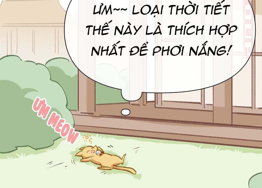 Dĩ Hạ Phạm Thượng Chapter 62 - 5