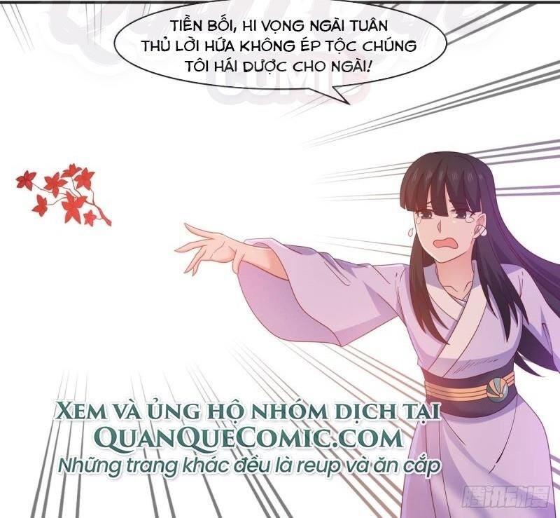 Hỗn Độn Đan Thần Chapter 43 - 18