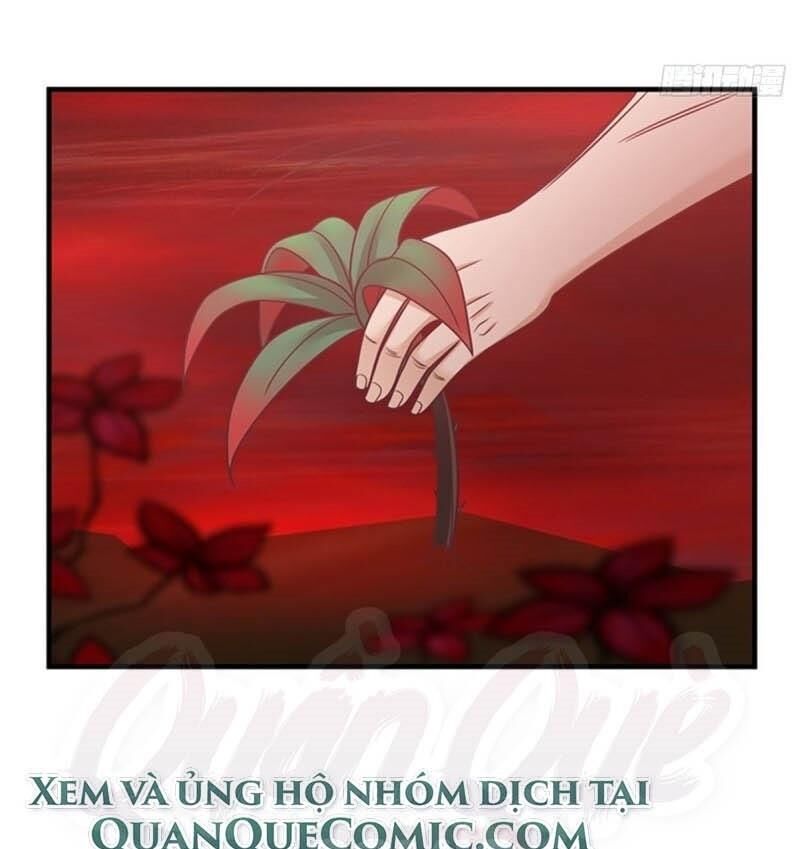 Hỗn Độn Đan Thần Chapter 55 - 25