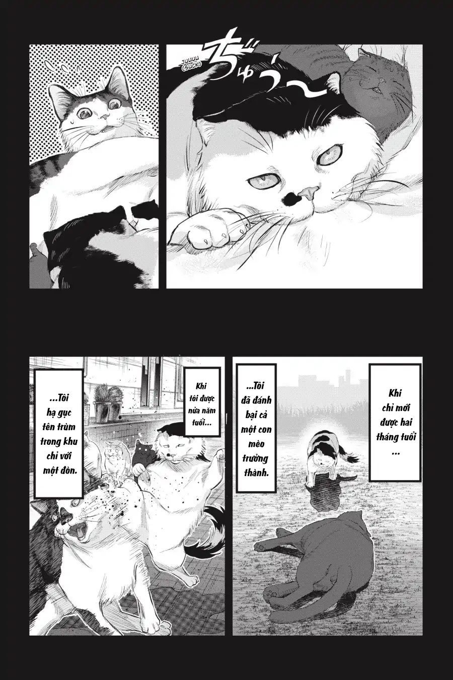 Nyankees Chapter 7 - 6