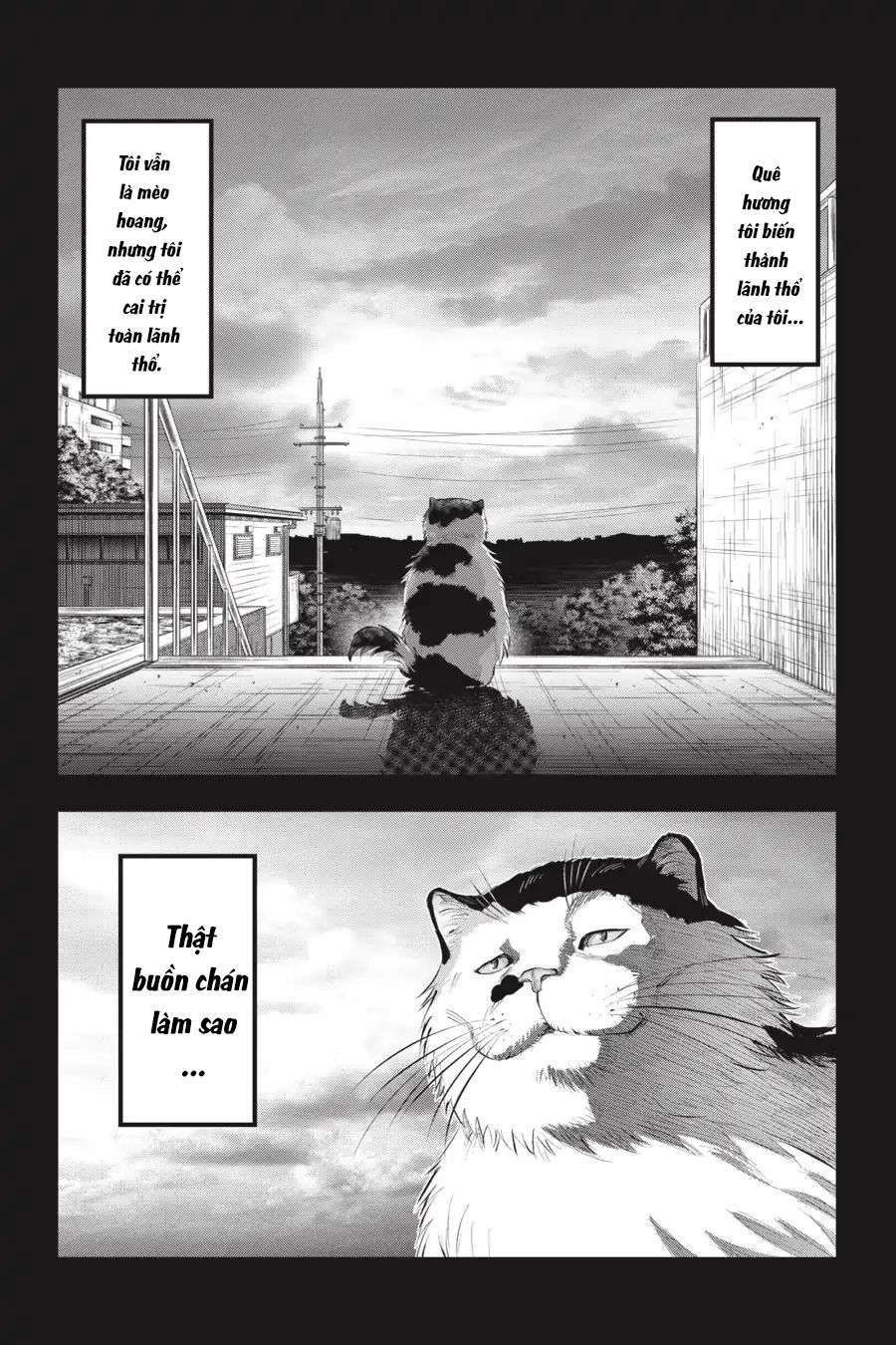 Nyankees Chapter 7 - 8