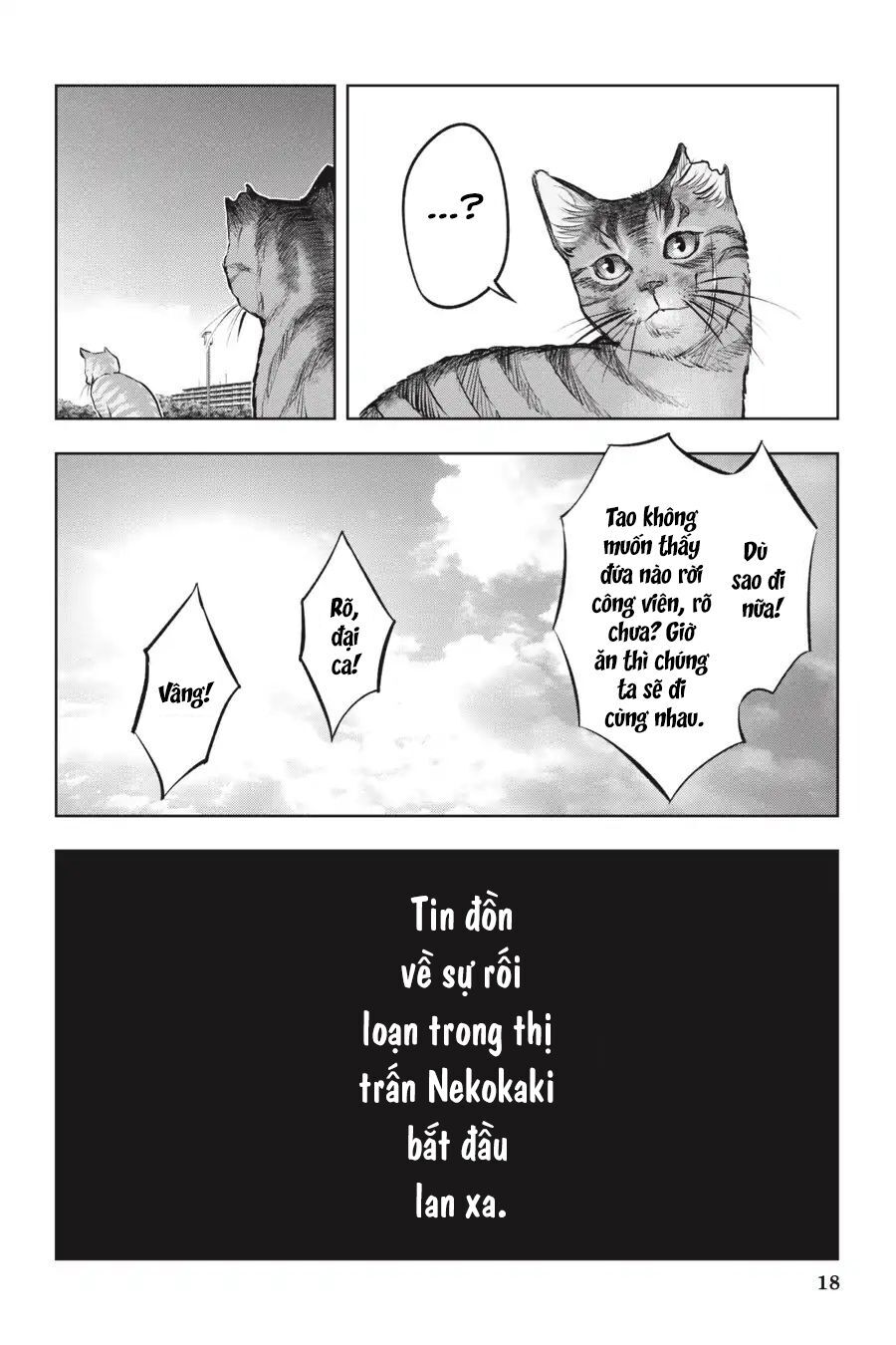 Nyankees Chapter 12 - 21