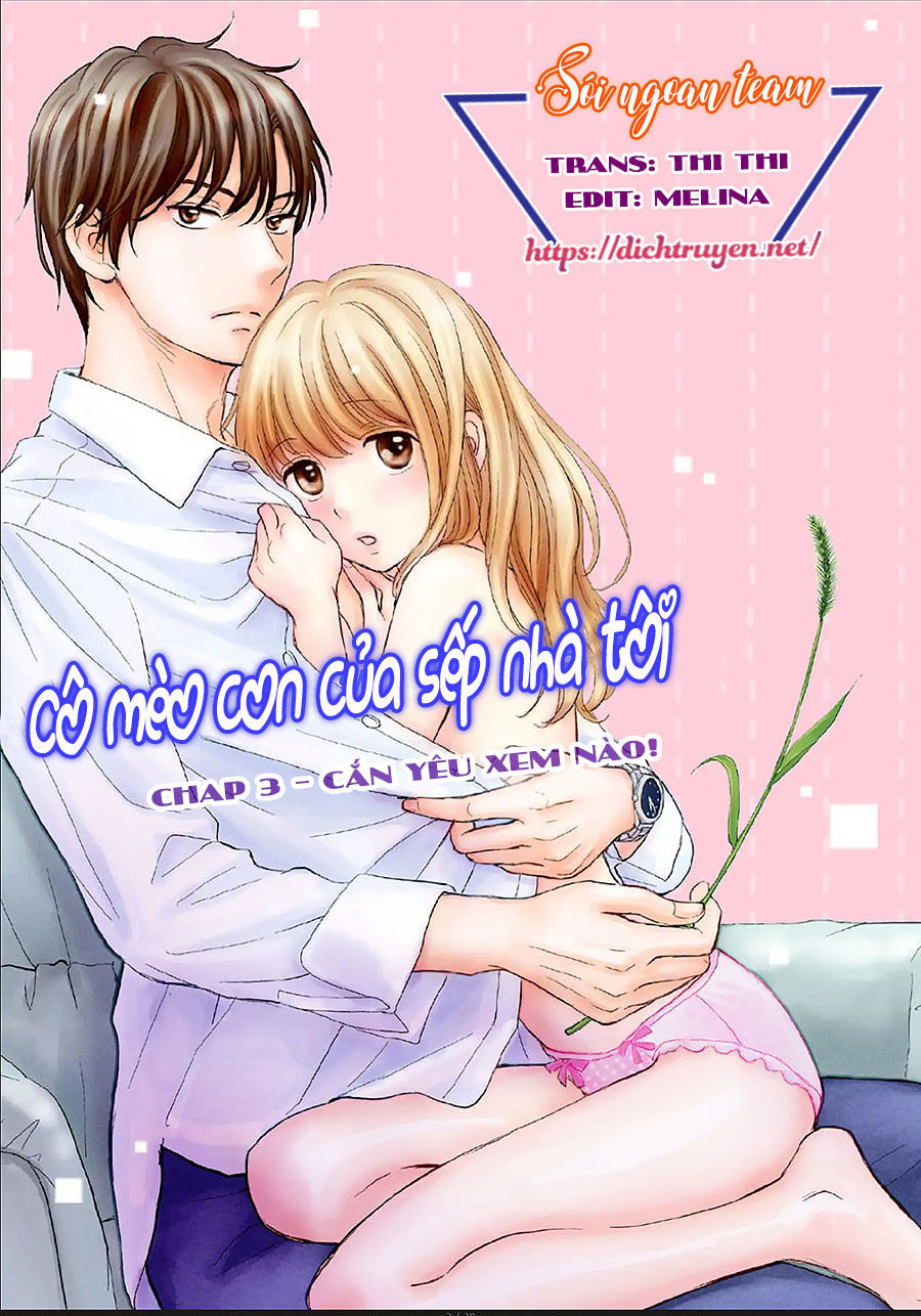 Cô Mèo Con Của Sếp Nhà Tôi Chapter 3 - 1