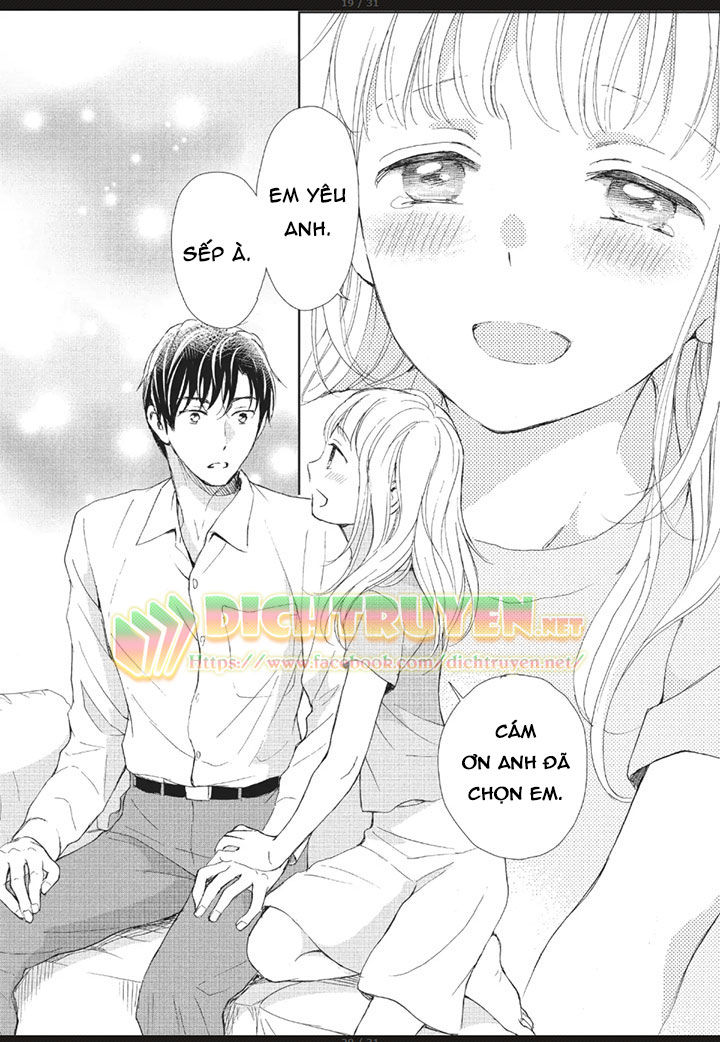 Cô Mèo Con Của Sếp Nhà Tôi Chapter 9 - 16