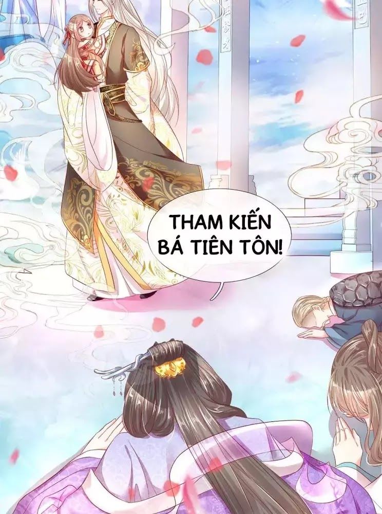 Vú Em Tiên Tôn Đi Ở Rể Chapter 1 - 14