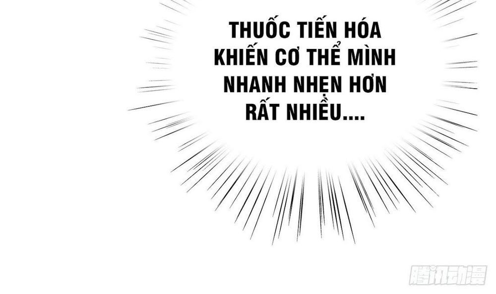 Trở Về Làm Đại Lão Thời Mạt Thế Chapter 13 - 22