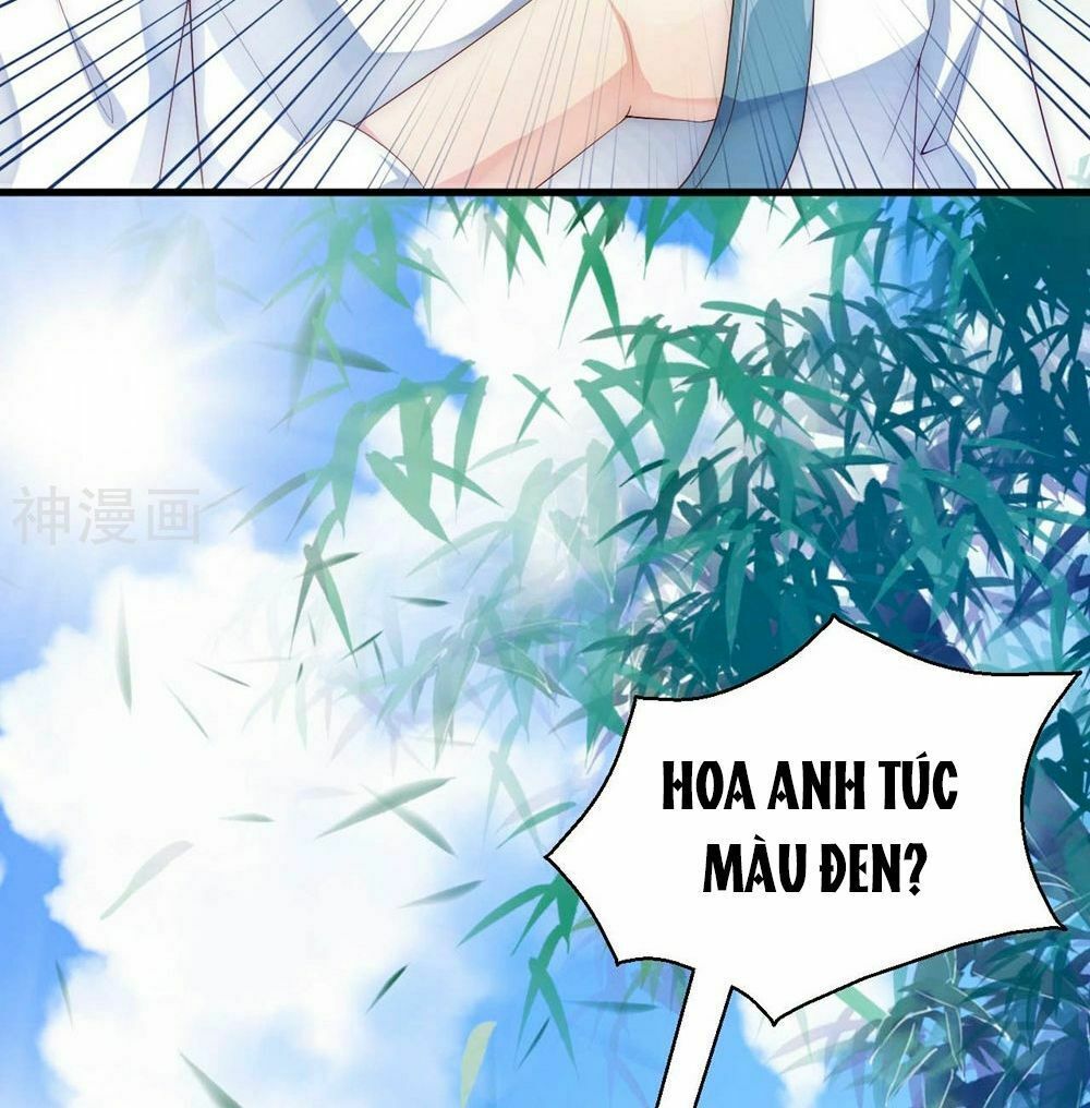 Dòng Máu Ngọt Ngào Chapter 2 - 43