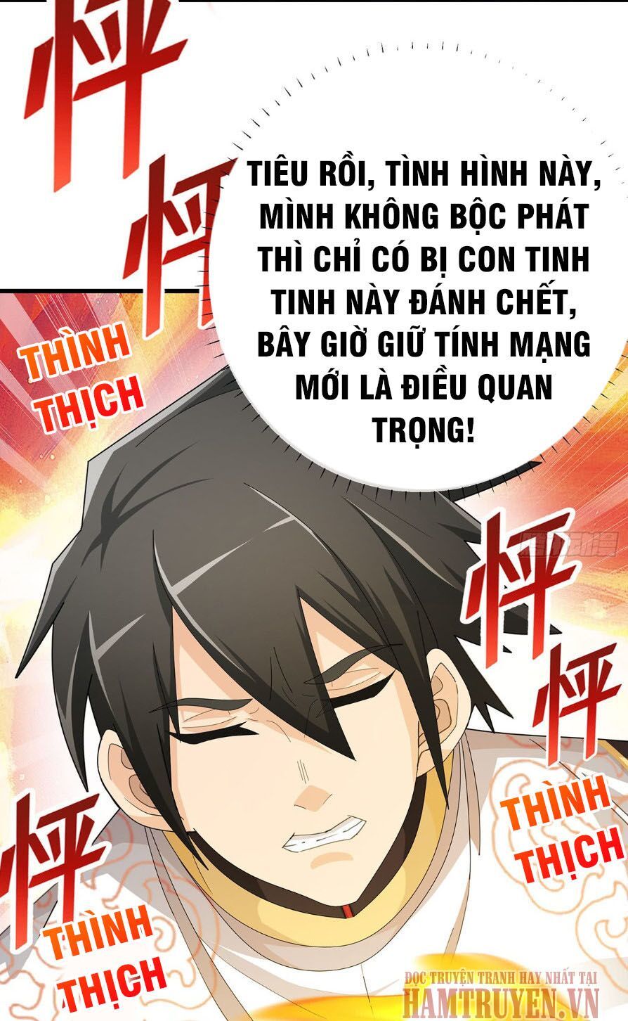 Nguyên Linh Chúa Tể Chapter 13 - 5