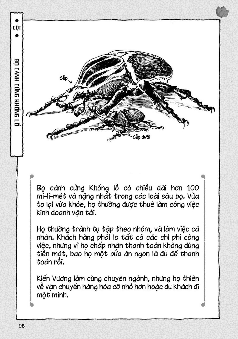 Cuộc Sống Tí Hon Trong Rừng Sâu. Chapter 4 - 24