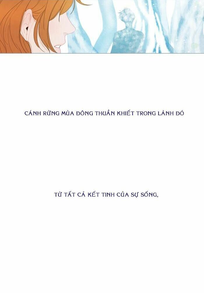 Rừng Đông Chapter 54 - 13