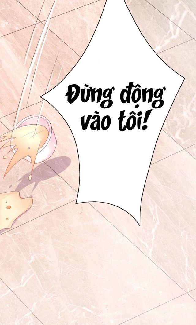 Tôi Đã Yêu Anh Trai Mình Chapter 7 - 36