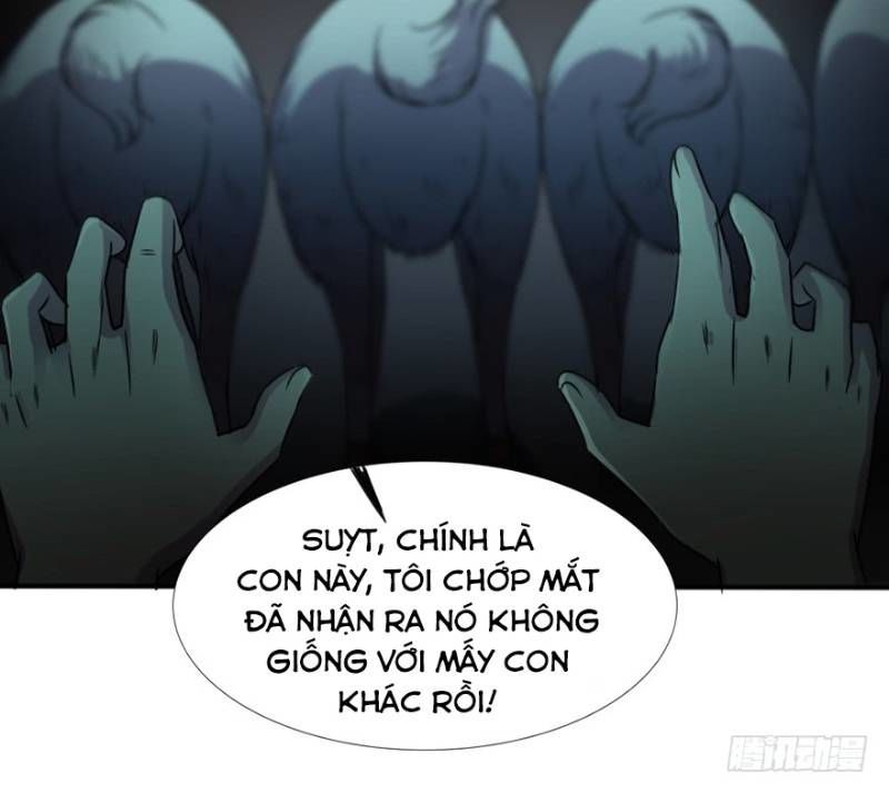 Thập Nhị Thiên Kiếp Chapter 27 - 18