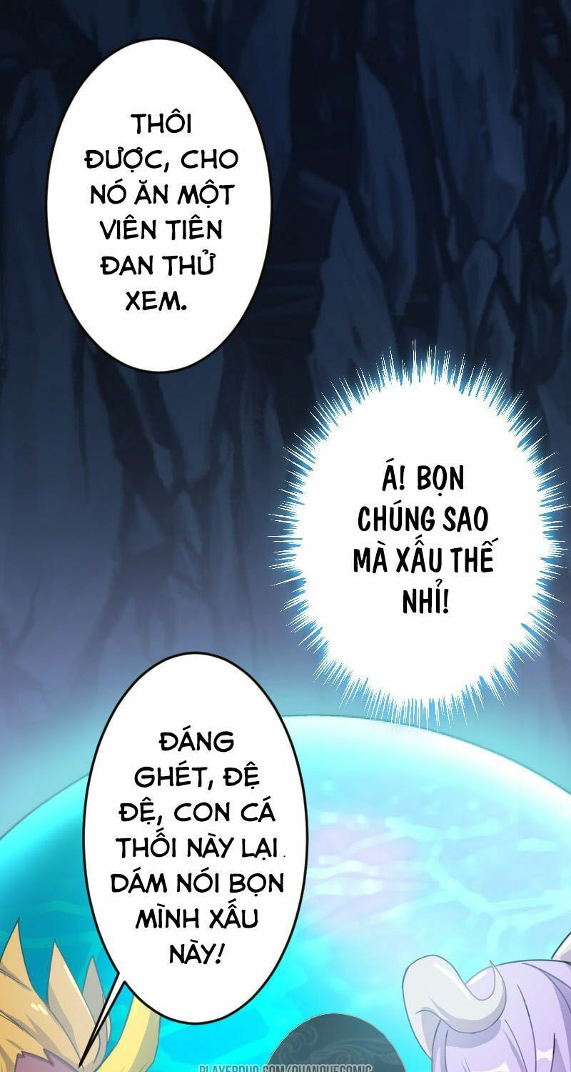 Khởi Đầu Bằng Một Con Côn Chapter 1 - 7