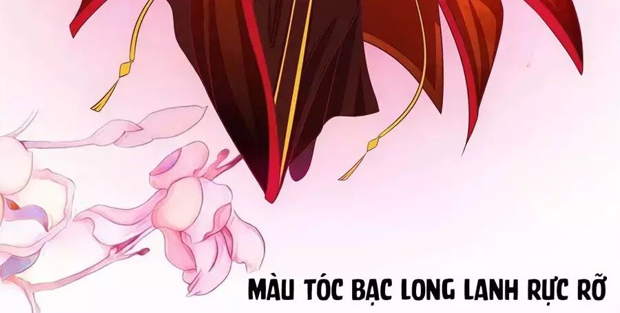 Sủng Thê Cuồng Ma Của Minh Vương Điện Hạ Chapter 3 - 5