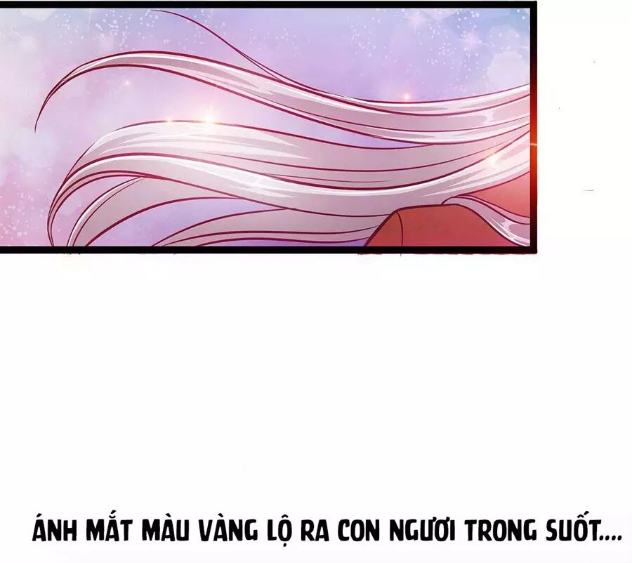 Sủng Thê Cuồng Ma Của Minh Vương Điện Hạ Chapter 3 - 6