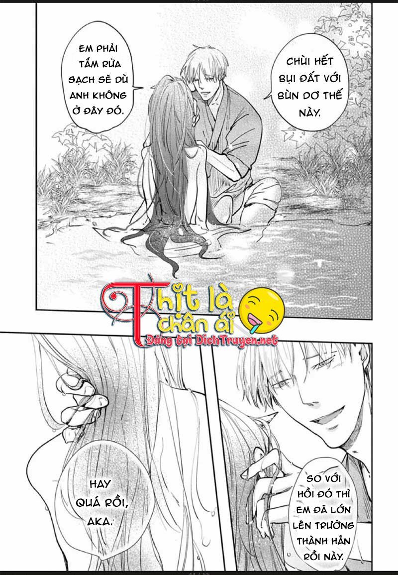 Hoa Trà Đỏ Chapter 2 - 41