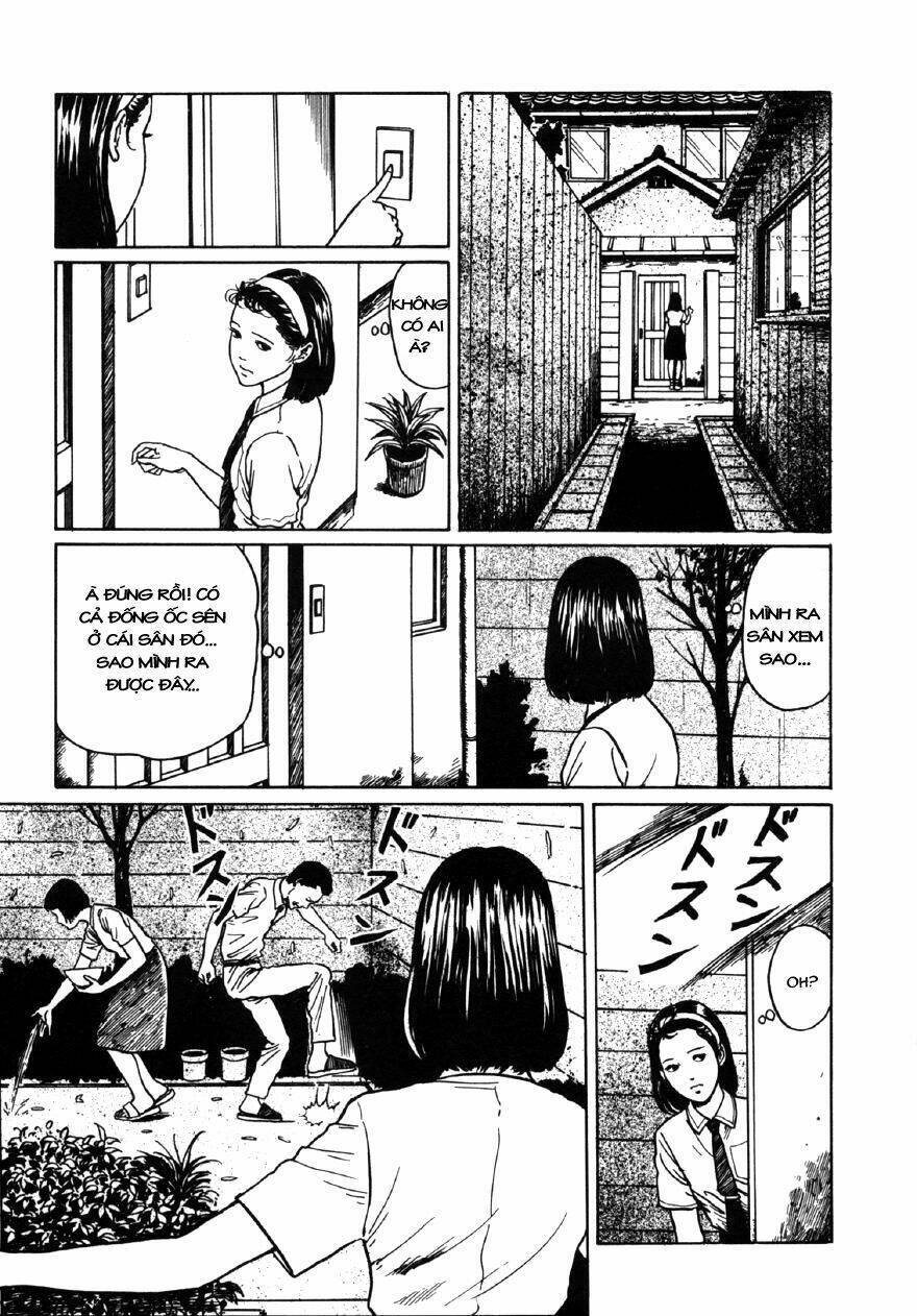 Tuyển Tập Truyện Ngắn Kinh Dị Của Ito Junji Chapter 7.1 - 3