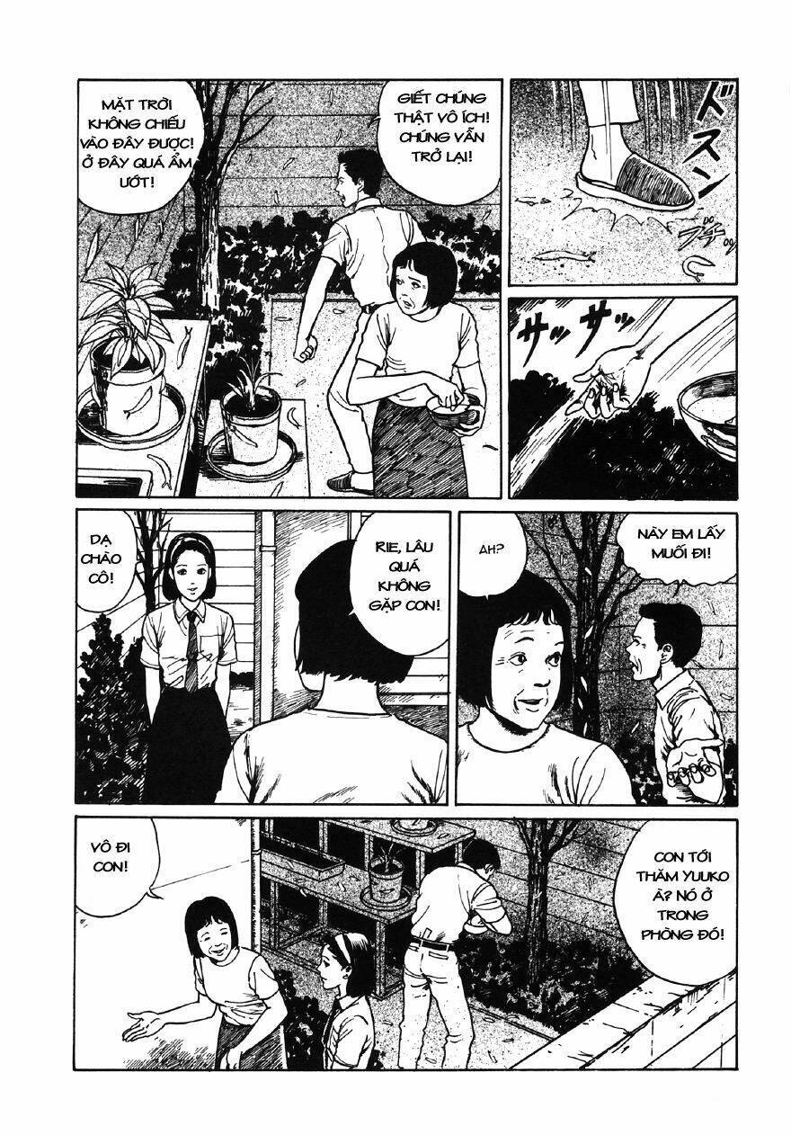 Tuyển Tập Truyện Ngắn Kinh Dị Của Ito Junji Chapter 7.1 - 4