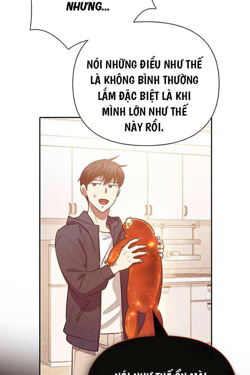 Những Ranker Cấp S Mà Tôi Nuôi Dưỡng Chapter 119 - 85