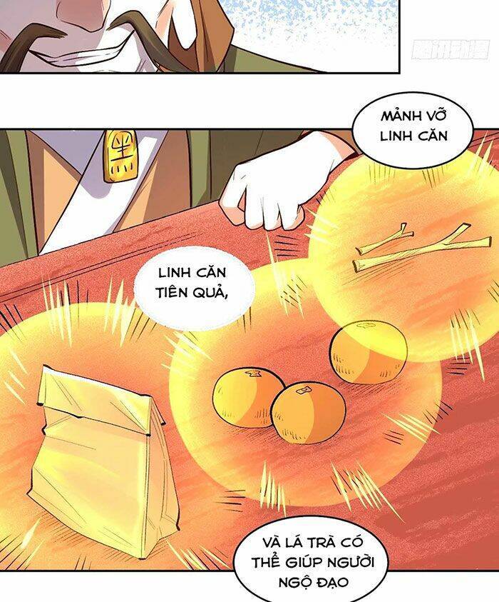 Nguyên Lai Ta Là Tu Tiên Đại Lão Chapter 248 - 50