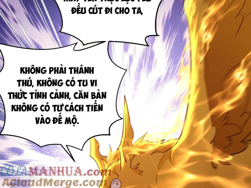 Vô Địch Đốn Ngộ Chapter 158 - 18