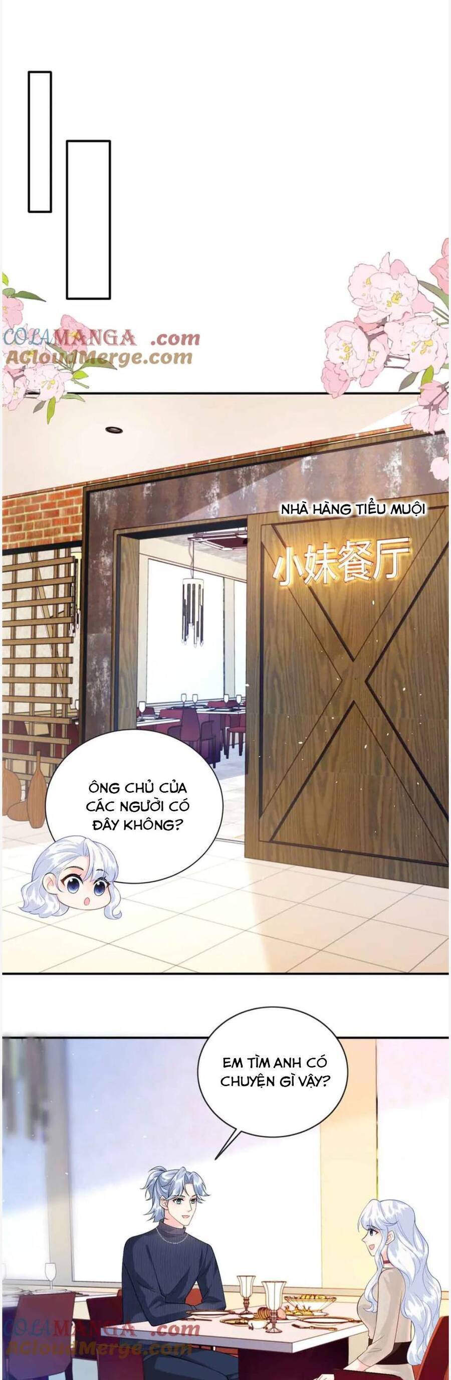 Bé Rồng Đột Kích! Mami Vừa Cay Vừa Độc Chapter 116 - 5