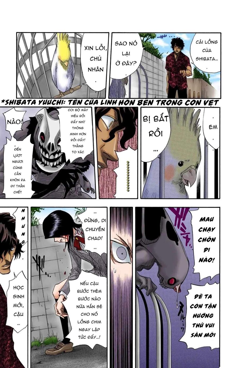 Bleach (Full Color) Chapter 10 - 12