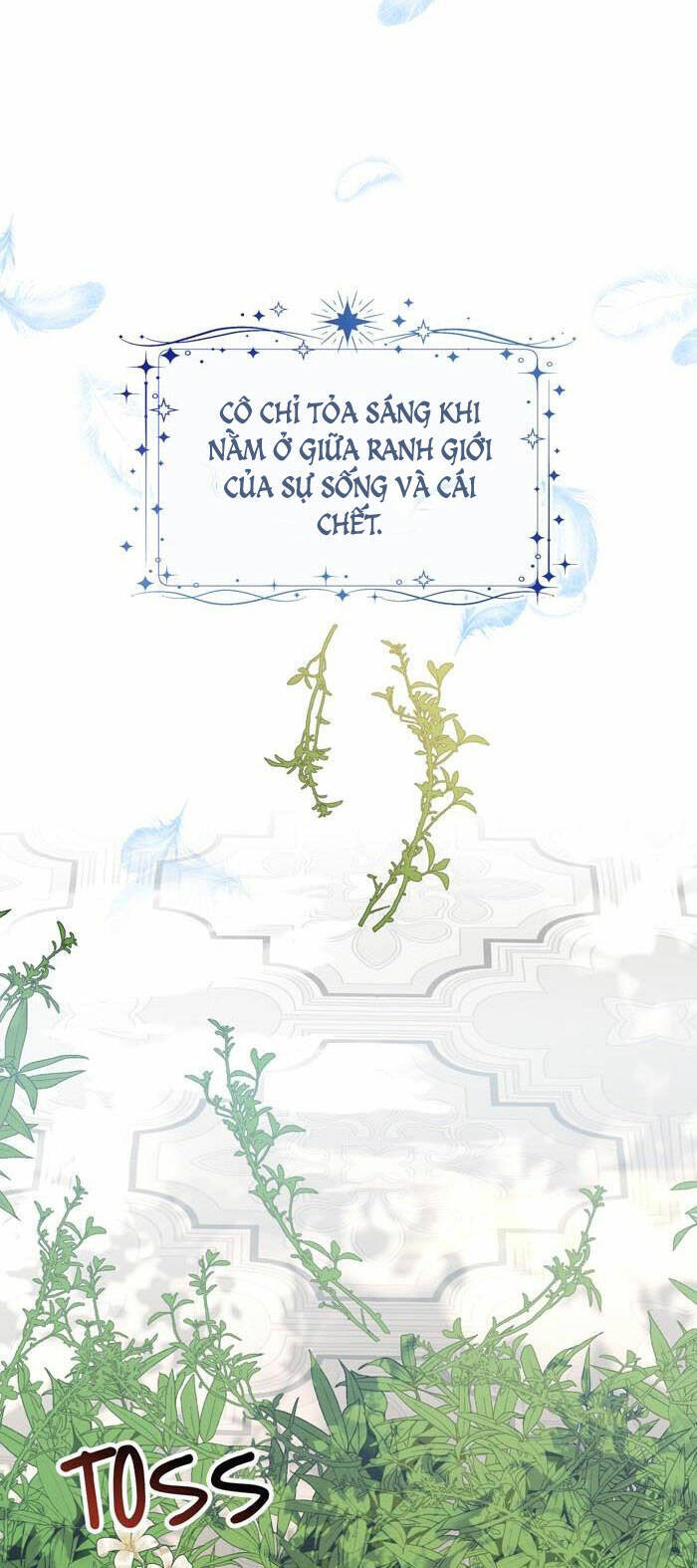 Tỏa Sáng Rực Rỡ Chapter 8.1 - 32