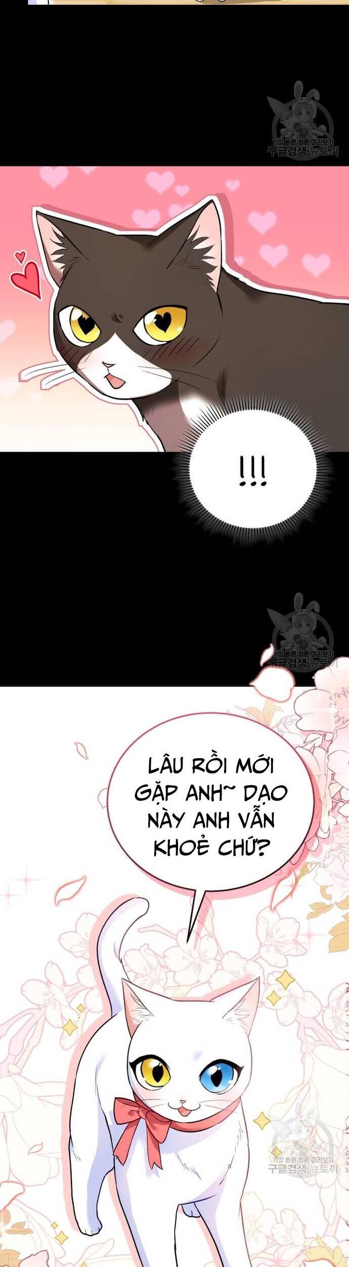 xin chào! bác sĩ thú y Chapter 30 - Next Chapter 31