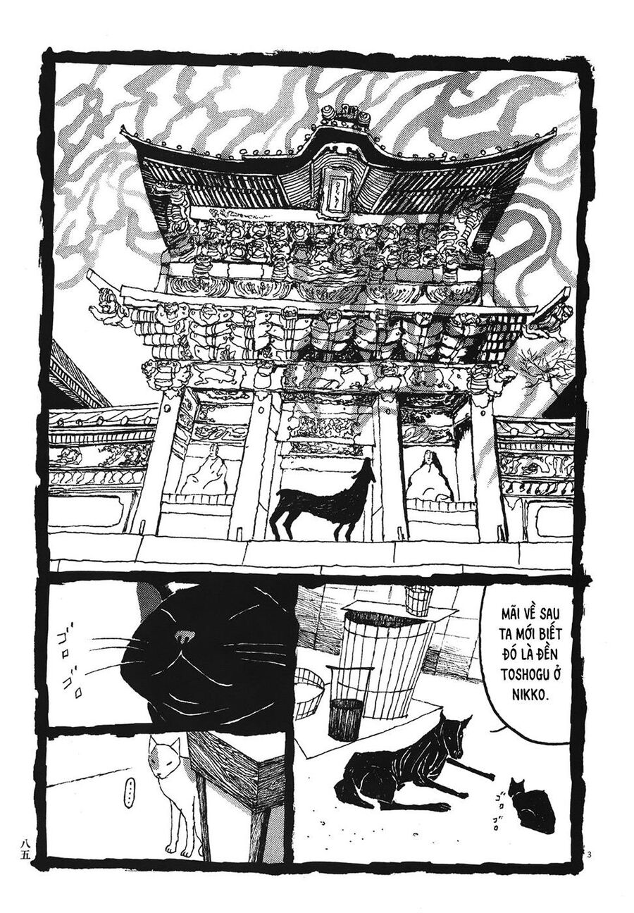 Samurai Kiếm Tre Chapter 35 - 4