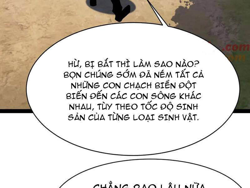 Linh Khí Khôi Phục: Từ Cá Chép Tiến Hóa Thành Thần Long Chapter 21 - 70