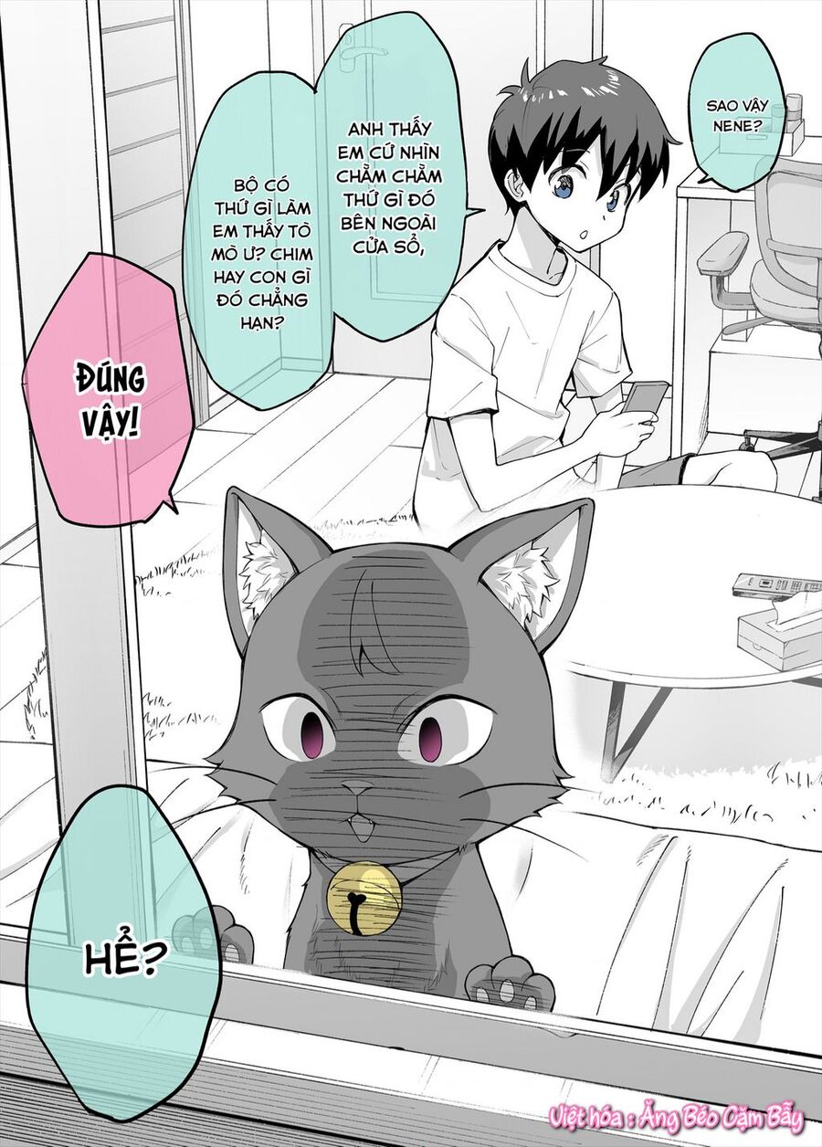 Bé Mèo Yandere Của Tôi Yêu Tôi Rất Nhiều Chapter 2 - 1