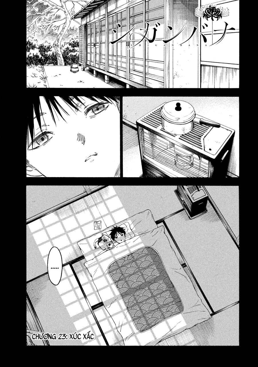 Shiganbana Chapter 23 - Trang 2