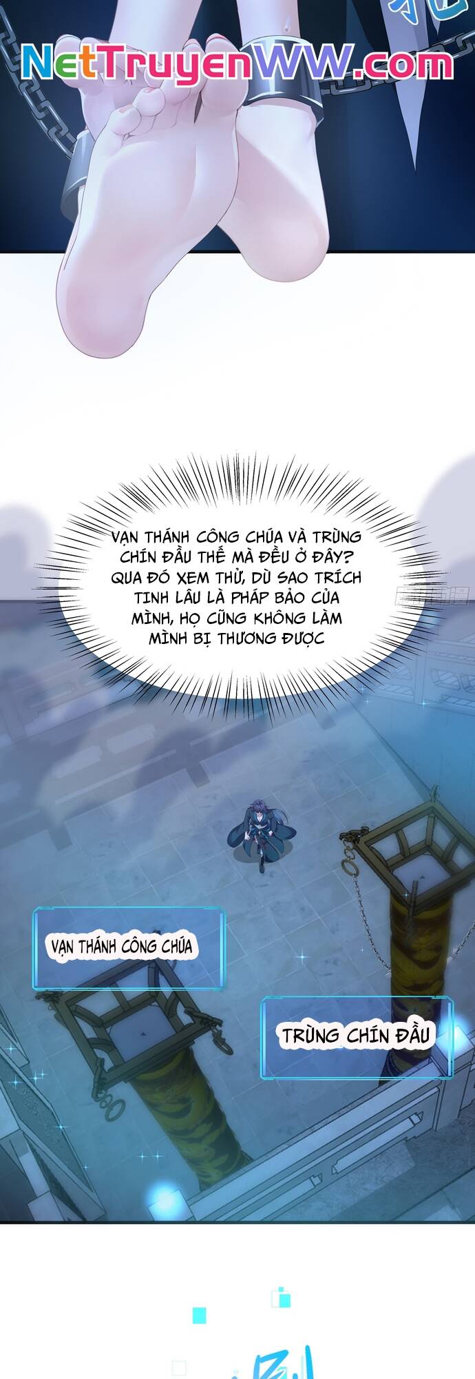 Trụ Vương Tái Sinh Không Muốn Làm Đại Phản Diện Chapter 28 - 10